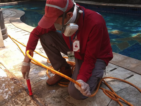 jasa anti rayap semarang